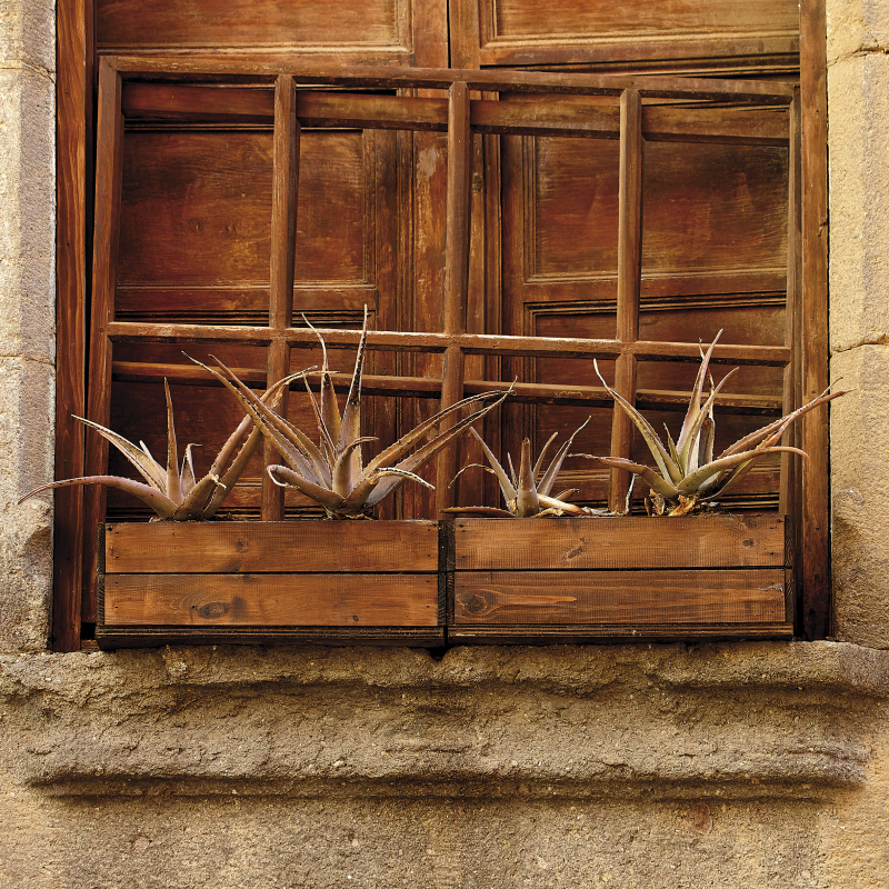 ONE DAY | LAS PALMAS No31 | Ralf Wehrle und Uwe Frank Fine - Art - Print  16,5 cm x 16,5 cm | gerahmt 30 x 30 cm  Auflage 15 | signiert